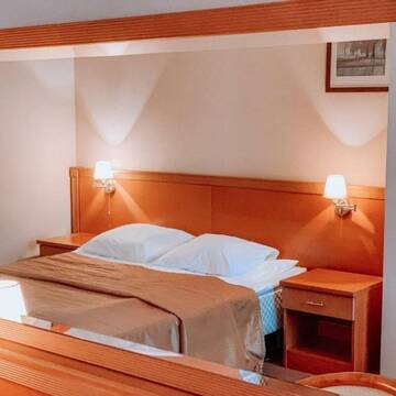 Двухместный стандарт 1 кровать в Гостинице Таврическая